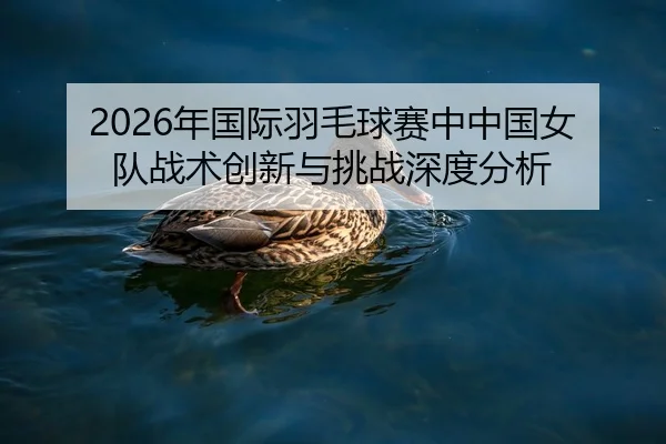 2026年国际羽毛球赛中中国女队战术创新与挑战深度分析