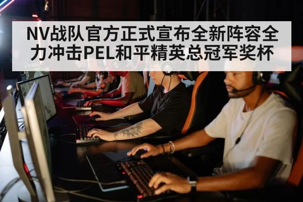 NV战队官方正式宣布全新阵容全力冲击PEL和平精英总冠军奖杯