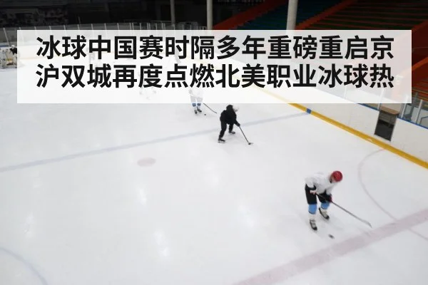 冰球中国赛时隔多年重磅重启京沪双城再度点燃北美职业冰球热